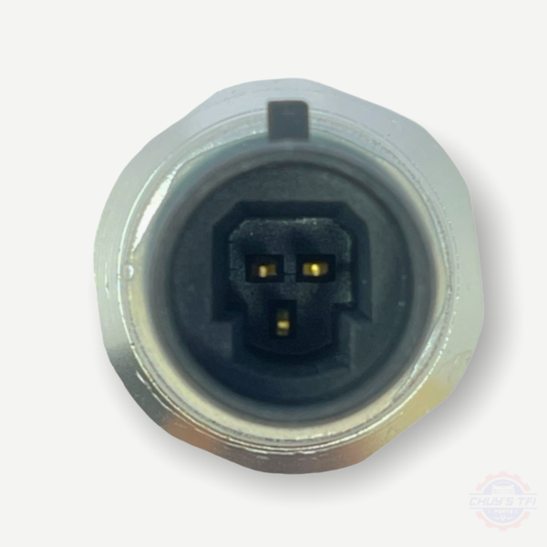 12573107 - BULBO DE ACEITE - Imagen 3