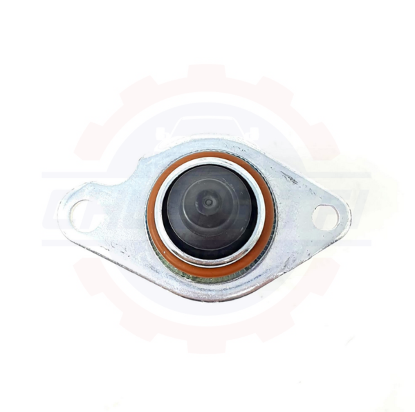 8969097202 - VALVULA IAC - Imagen 6